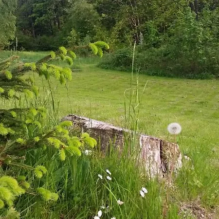 Pod Vlekem Penzion