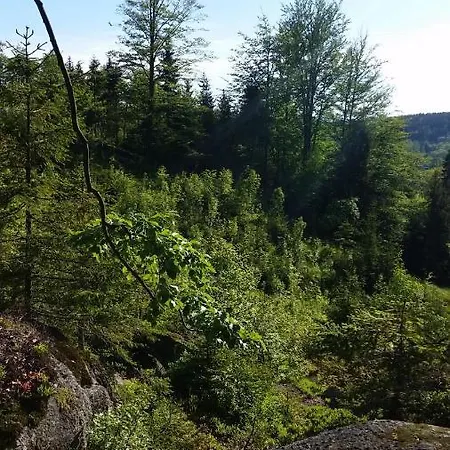 Pod Vlekem Penzion *