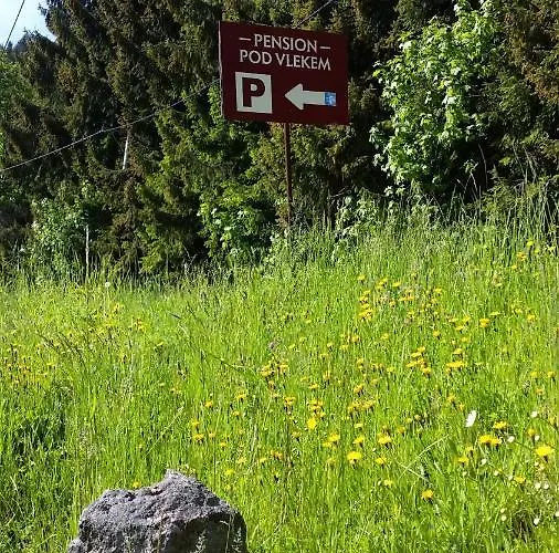 Pensionat Pod Vlekem *