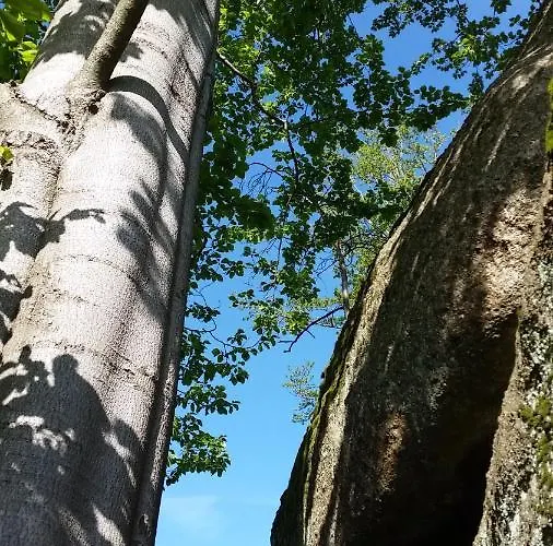 Pod Vlekem * Janov nad Nisou